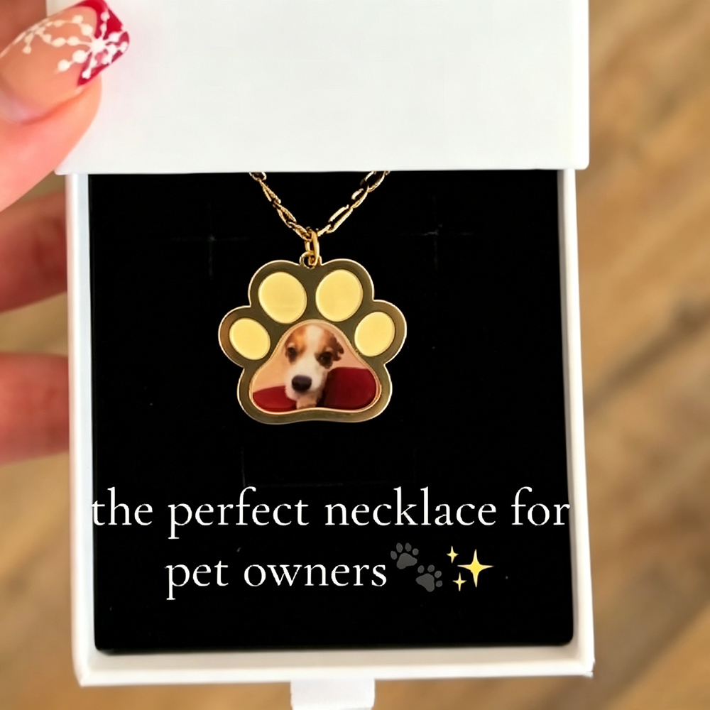 Personalized Pet Paw Colors Pr - đánh giá và giá Custom Name Necklace Stainless Steel